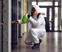 Best Asbestos and Lead Testing During Mold Inspection  in South Whittier, CA